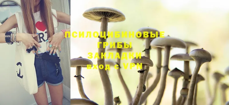 blacksprut зеркало  Сарапул  Галлюциногенные грибы Psilocybine cubensis 